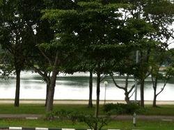 Waterfront Waves (D16), Condominium #375548951